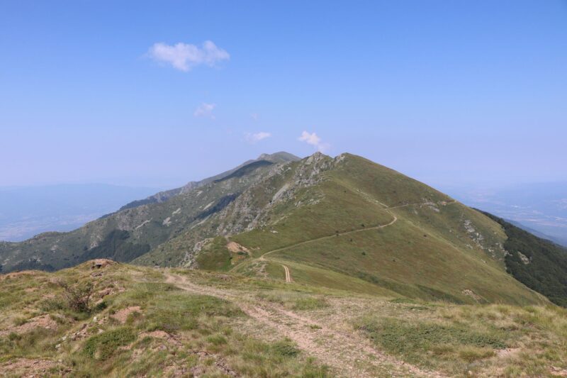 от вр. Конгуро